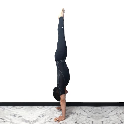 박성우 물구나무